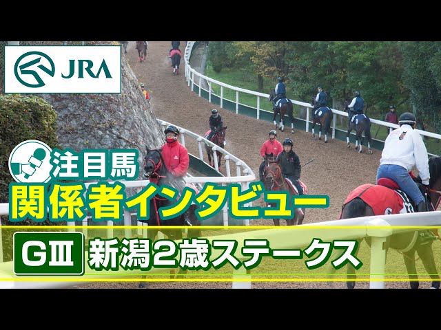 Featured Horses and Interviews] 2025 Niigata Two-Year-Old Stakes
