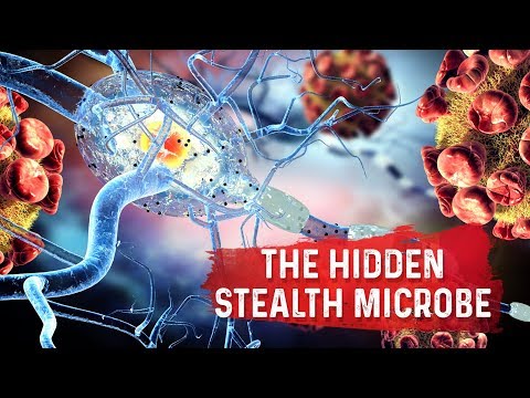 ვიდეო: ბაქტერიული ინფექცია (მიკოპლაზმა, ურეაპლაზმა, აკოლეპლაზმა) კატებში