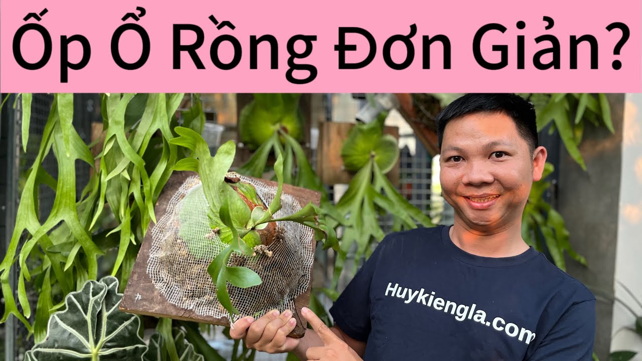 Hướng dẫn ốp ổ rồng vào bảng gỗ đơn giản cùng Huykiengla - YouTube