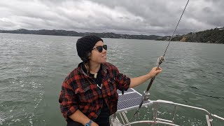 Cruising Bay of Islands New Zealand WHSE116 by Wind Hippie Sailing 56,955 views 1 year ago 22 minutes