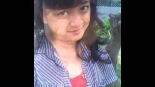 Download Lagu Dadali Cinta Bersemi Kembali MP3