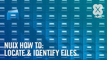 How to manually locate and identify files in Nuix