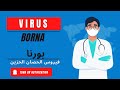 فيروس الحصان الحزين القاتل فيروس بورنا  