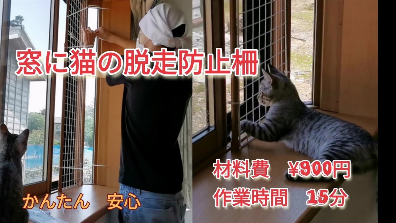 窓に猫の脱走防止柵。材料は全て百均、材料費900円、作業時間は15分 
