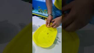 20170717200411.Mp4
