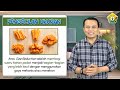 Video Pembelajaran SMK Agribisnis - Pengecilan Ukuran Makanan