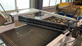 Aph Group Engineering Haulm Separator For Potatoes