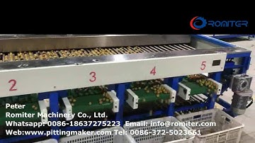 Full Automatic Longan Fruit Size Sorting Grading Machine for Sale