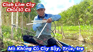 Đi Đặt Lờ Cá Trong Rừng Tràm Và Chia sẻ Nhiều Cách Làm Cây Chổi Lờ Cá Cải Tiến