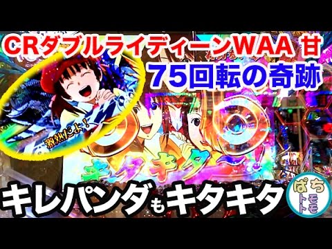 甘デジのポテンシャルを超えてた台！【CRダブルライディーンWAA