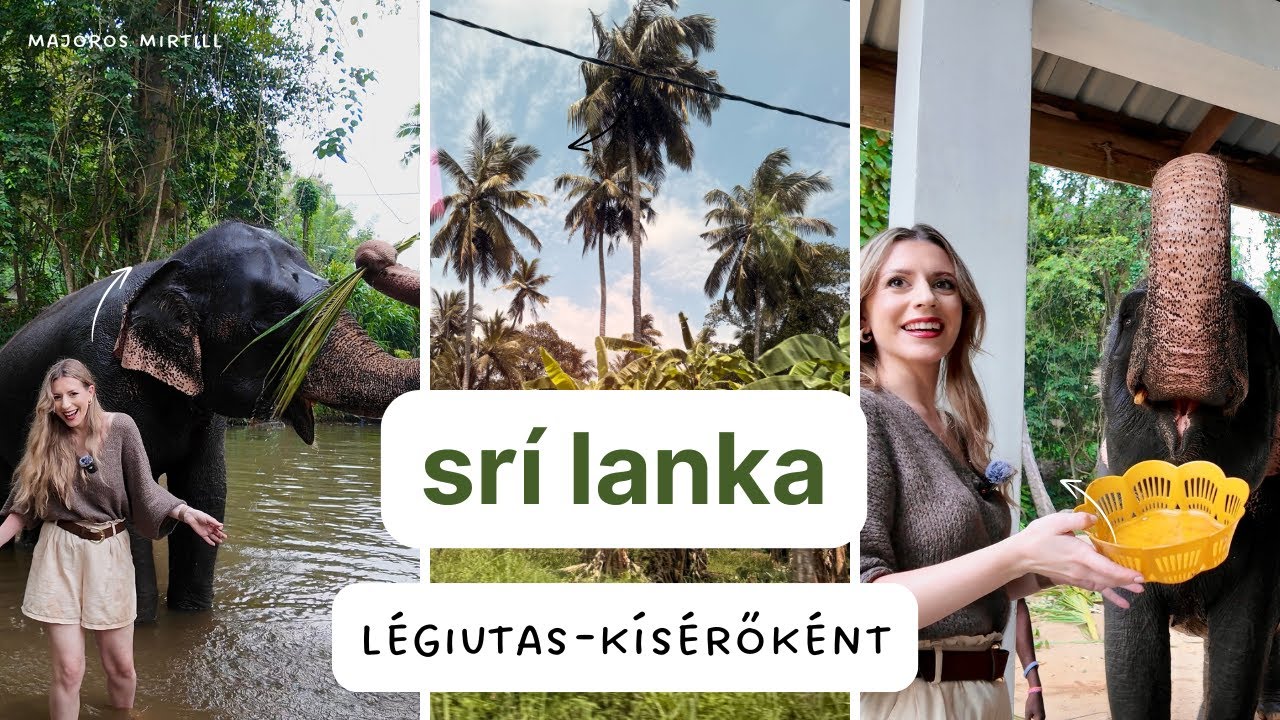 SRI LANKA layover vlog LÉGIUTAS-KÍSÉRŐKÉNT: ELEFÁNTokat sétáltattam és fürdettem - MAJOROS MIRTILL