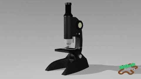 How Does a Microscope Work?