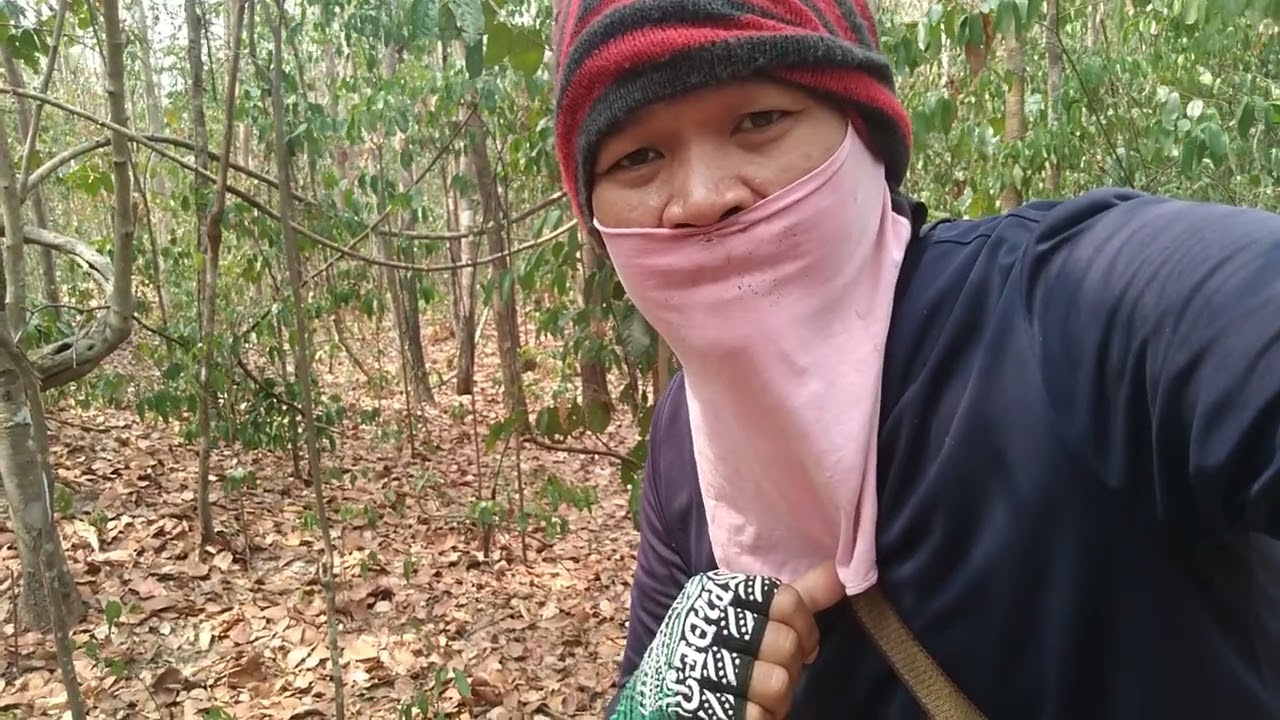 19มีนารังใหญ่หัวน้ำปิดตาอวบอวบ