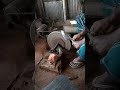 ছুরি ধার