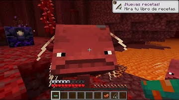 Minecraft 1.16 NETHER UPDATE- Snapshot 20w13a - STRIDER