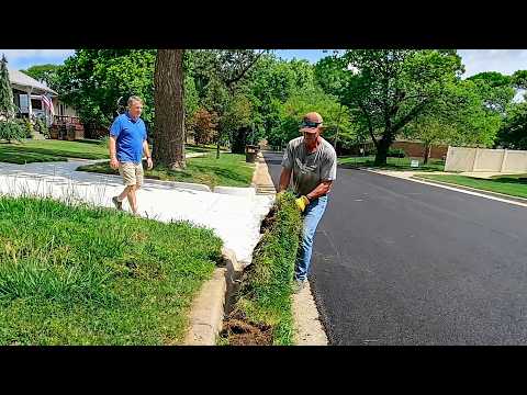 Homeowner Didn’t Recognize His Property After This Massive Lawn Cleanup