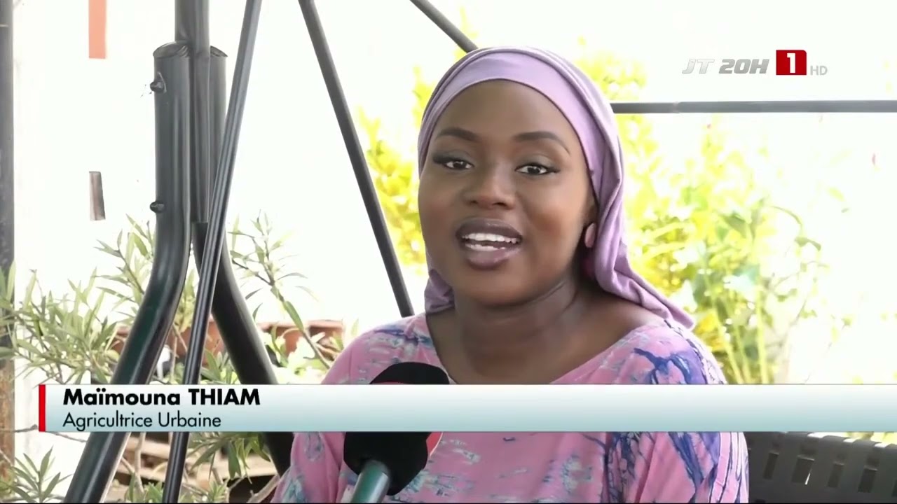 MICRO-JARDINAGE | À l'assaut des terrasses et balcons