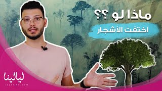 ماذا لو اختفت الأشجار؟