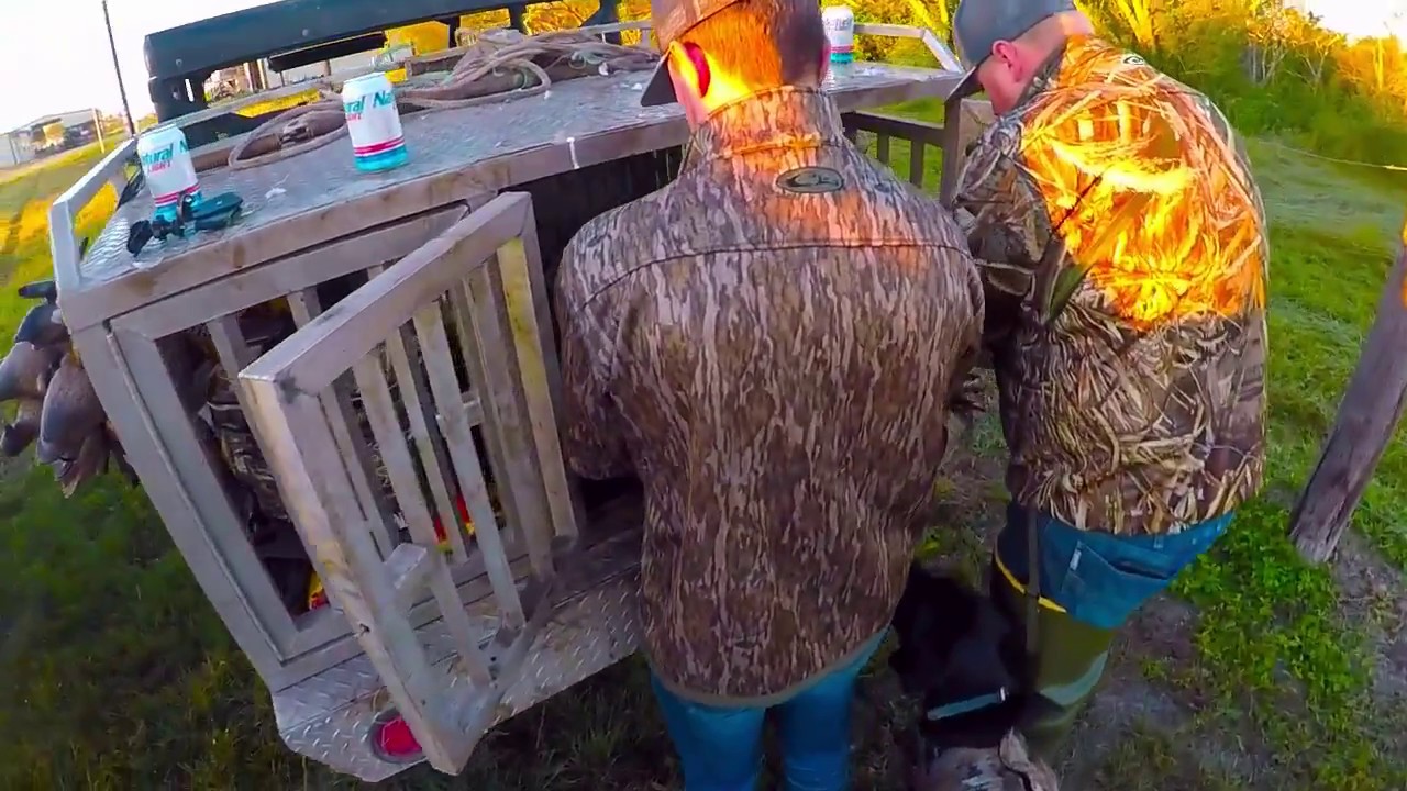 Opening Day Duck Hunting South Texas 