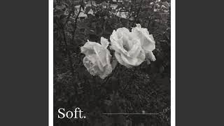 Soft. - Joachin screenshot 3