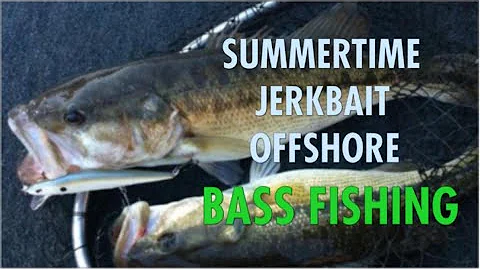 Catch More Bass On A JERKBAIT - TIPS To Make You More Successful