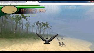 Fly Like a Bird 3 YouTube
