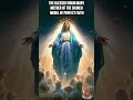 The Blessed Virgin Mary ✨🌹🕊️ | Mother of the Church & Model of Perfect Faith 💛