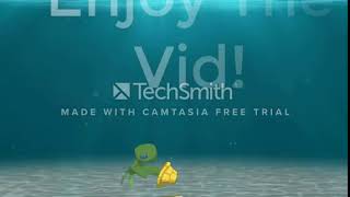 Timmit The Turtle Intro