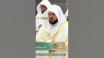 تلاوة رهيبة لا يوصف للشيخ ماهر المعيقلي♥️~صلاة المغرب ١١ ذو القعدة ١٤٤٦ه‍.~ #ماهرالمعيقلي