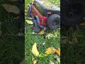 TRX-4 driving in the leafs! #fun#fyp#traxxas#trx4#shorts#rcdriver#rccrawler#traxxastrx4#bronco