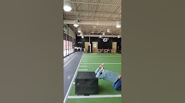 Quadruped Thoracic Extension