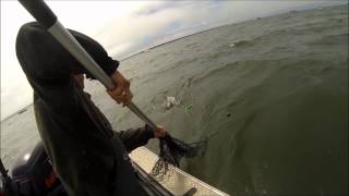B10 Salmon Challenge 2013