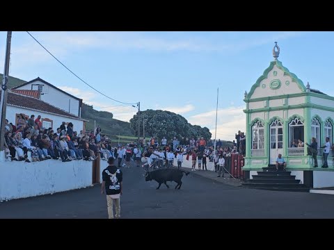 Tourada à corda no Porto Martins, 1 de junho de 2024