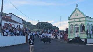Tourada à corda in Porto Martins, 1 June 2024