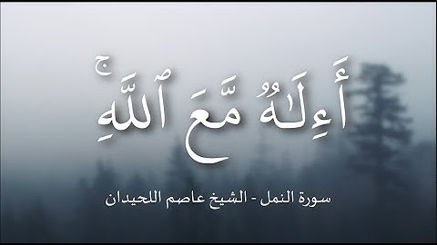 صلاة العشاء – سورة النمل | Surah An-Naml – الشيخ عاصم اللحيدان