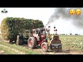 Tractor stunt  belarus 510 ford 4000 mtz50 pulling out maize loaded trailer