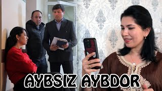 AYBSIZ AYBDOR HIKMATLI DUNYO