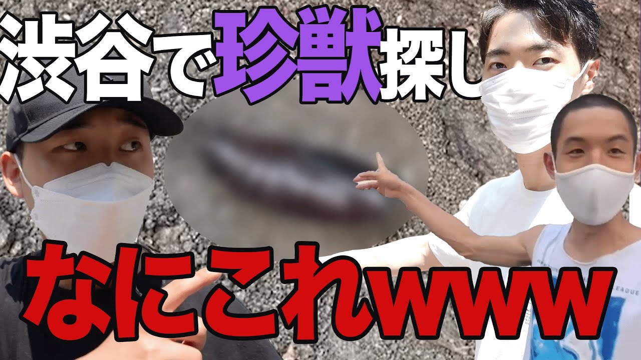 渋谷で珍しいものを見つけたら優勝