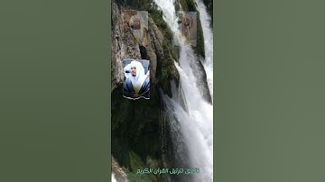 سورة القارعة بعدت مقرئين 💛 #سعد_الغامدي #القران_الكريم #سورة_القارعة #شاشه_سوداء #القرآن_الكريم
