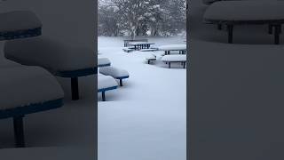 Minne snowta beautiful