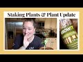 Staking Plants & Plant Updates
