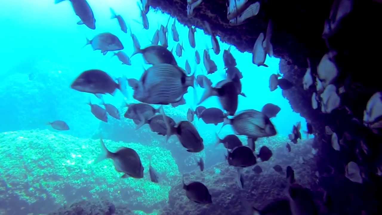 Scuba Diving in Spain - Scuba Moraira / GoPro HD