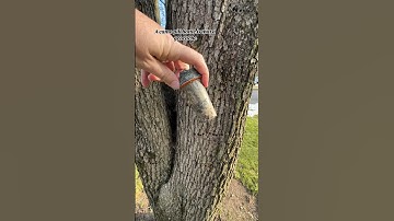 Wet & Soggy logbooks in Geocaches. #cache #geocache #geocaching