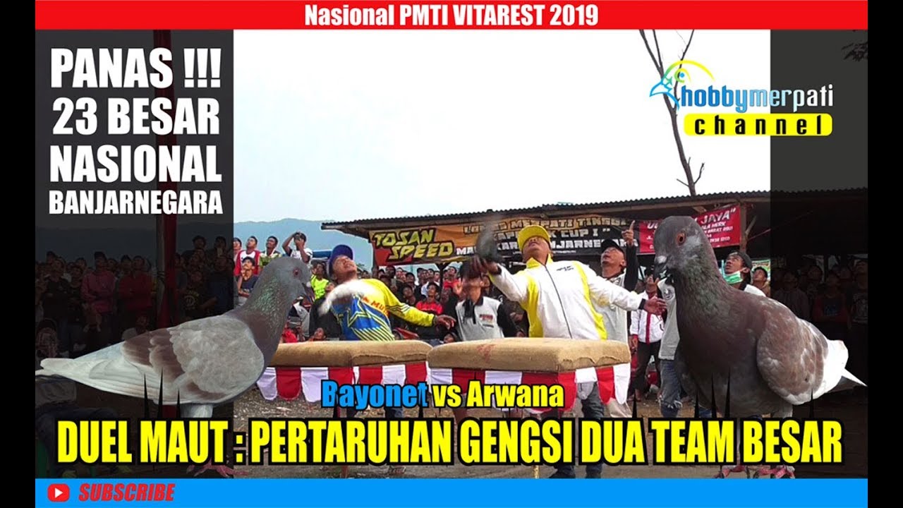 DUEL MAUT Arwana vs Bayonet : PERTARURHAN GENGSI DUA TEAM BESAR