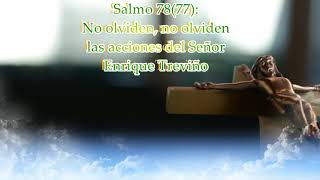 Video thumbnail of "Salmo 78(77): No olviden, no olviden las acciones del Señor - Enrique Treviño"