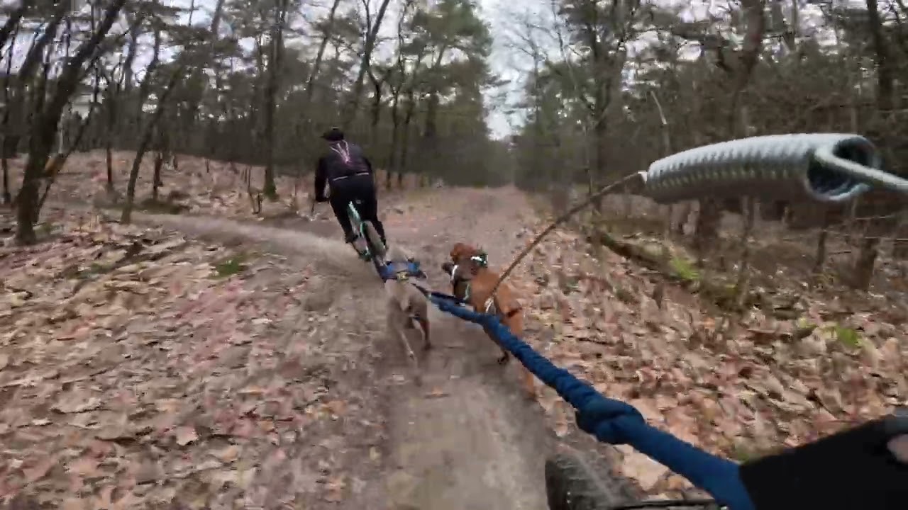 Schouten op reis Rucphen 2026