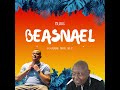 BEASNAEL