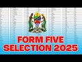 FORM FIVE SELECTION 2025 SHULE WALIZOPANGIWA KIDATO CHA TANO 2025 FORM FIVE SELECTION 2025 SHULE WALIZOPANGIWA KIDATO CHA TANO 2025