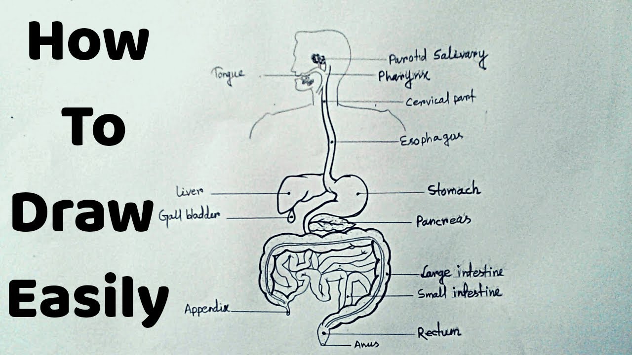 Manav pachan tantra | Map, Map screenshot