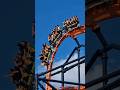 Speeding through #Tigris at #buschgardens Tampa! #themepark #rollercoaster #florida #amusementpark